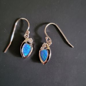 Earrings Gish Hook